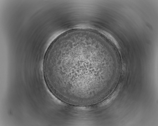 X0000111180855200907081234