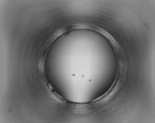 X0000111180857200907081234