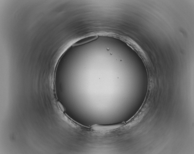 X0000111180860200907081234