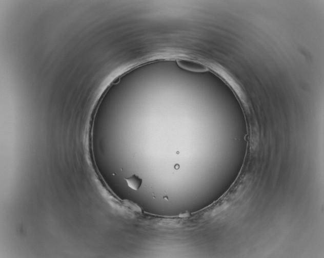 X0000111180861200907081234