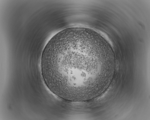 X0000111180863200907081234