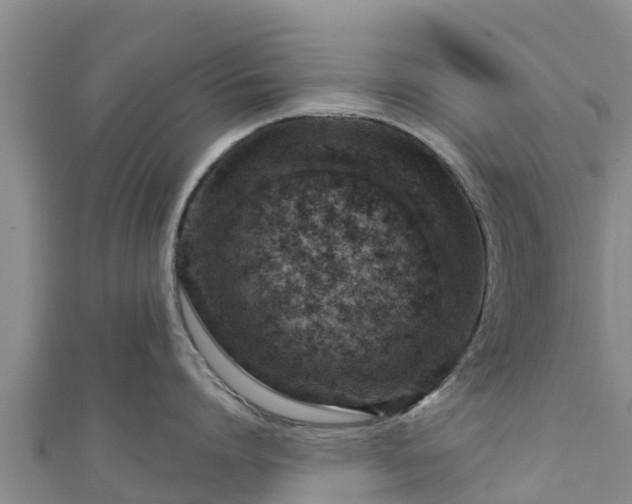 X0000111180864200907081234