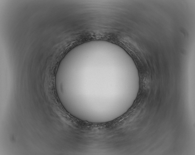 X0000111180865200907081233