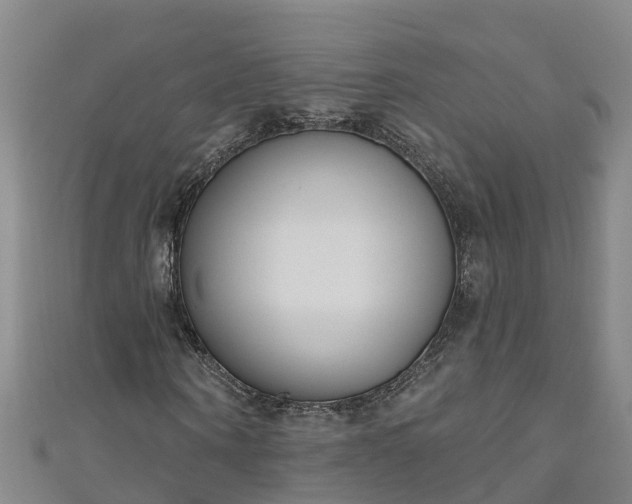 X0000111180866200907081233