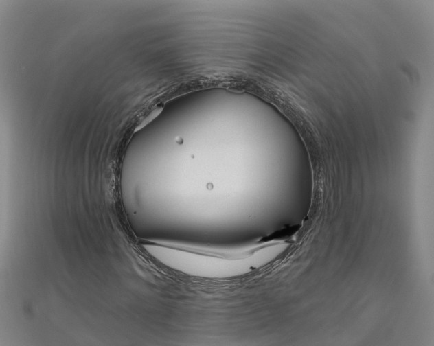 X0000111180868200907081233