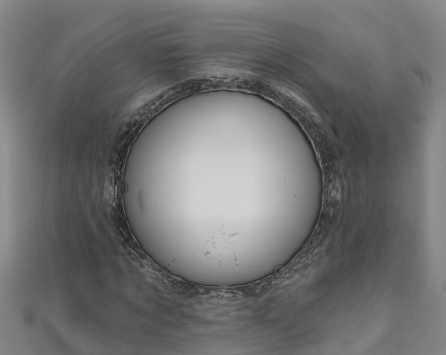 X0000111180869200907081233