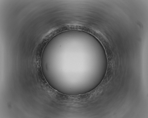 X0000111180870200907081233