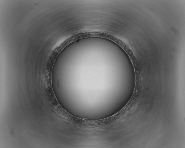 X0000111180871200907081233