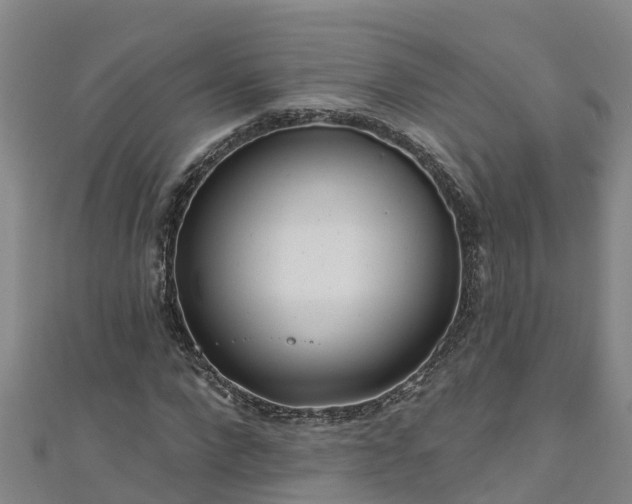 X0000111180872200907081233