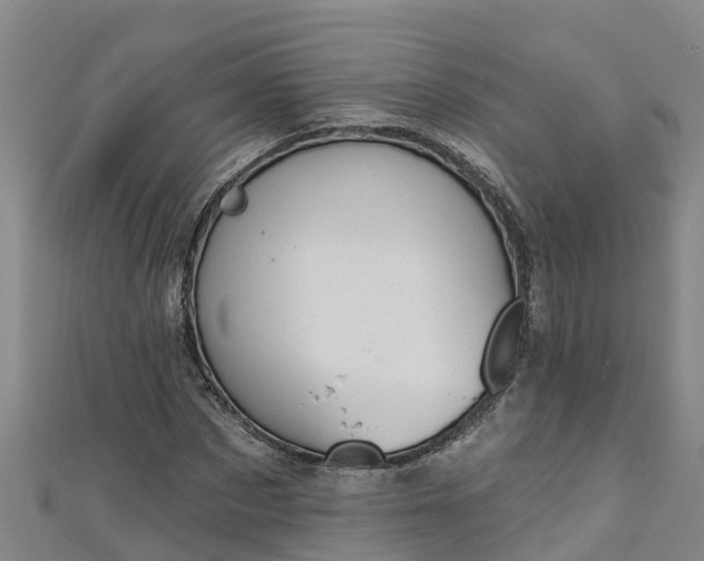 X0000111180873200907081233