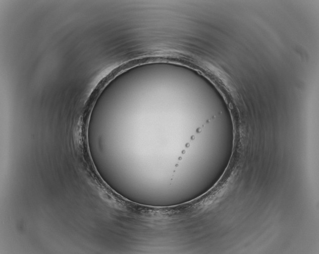 X0000111180875200907081233