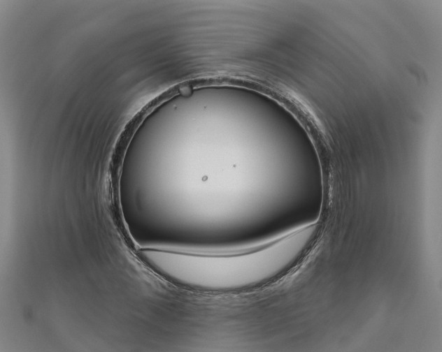 X0000111180876200907081233