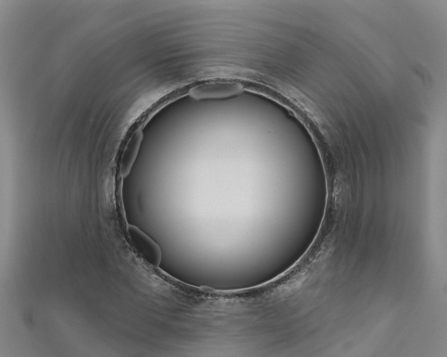 X0000111180877200907081233