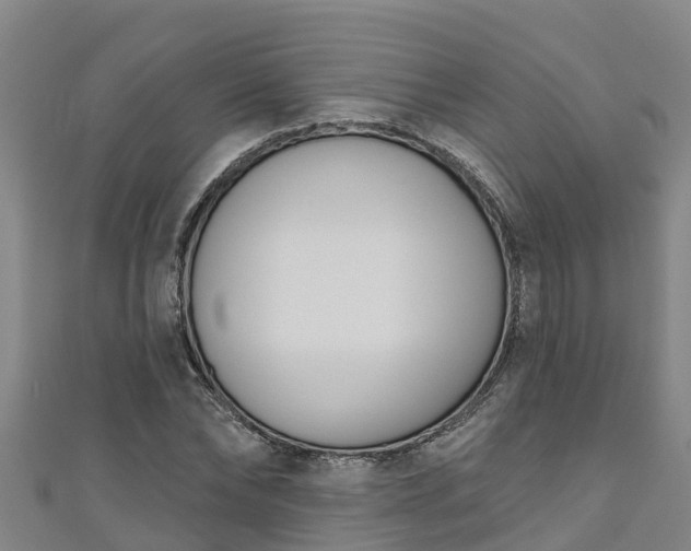 X0000111180878200907081233