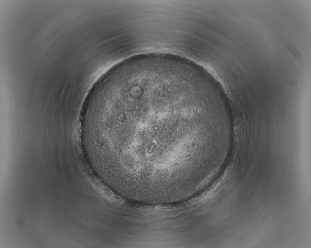 X0000111180879200907081233