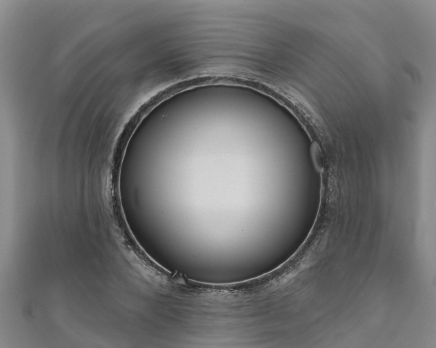 X0000111180880200907081233