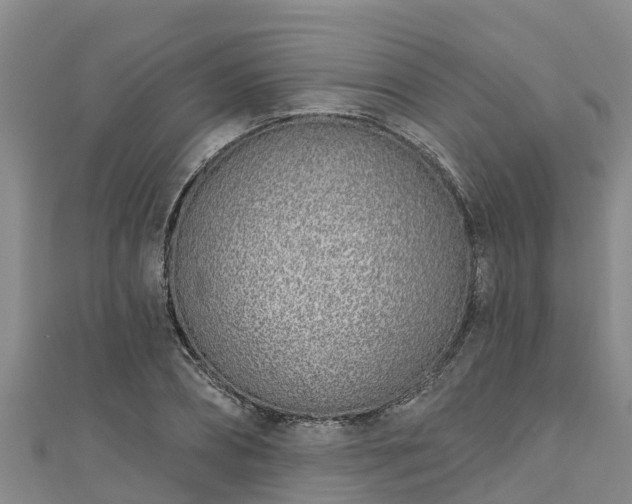 X0000111180882200907081233