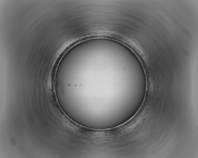 X0000111180883200907081233