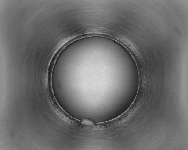 X0000111180884200907081233