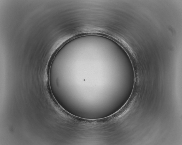 X0000111180885200907081233