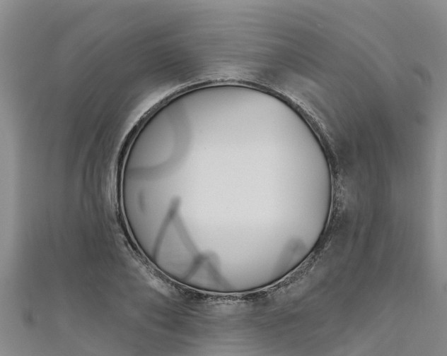 X0000111180886200907081233