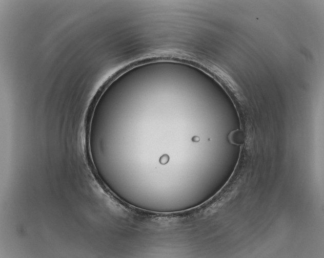 X0000111180888200907081233