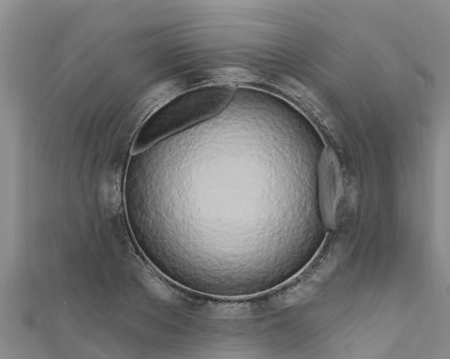 X0000111180889200907081233