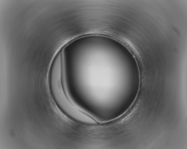 X0000111180892200907081233