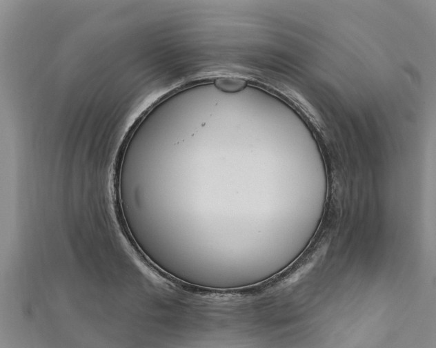 X0000111180893200907081233