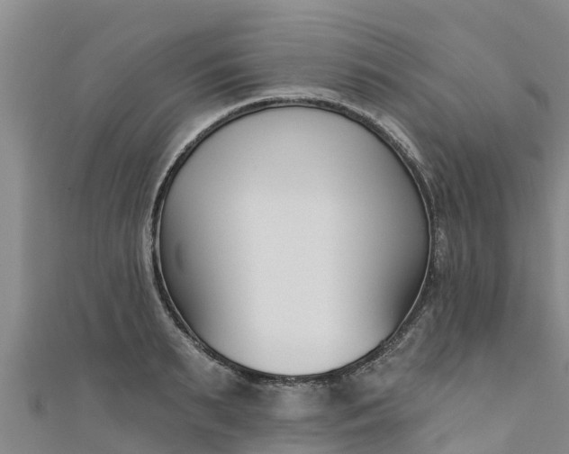 X0000111180895200907081233