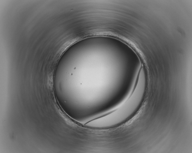 X0000111180897200907081233