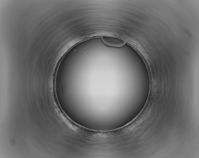 X0000111180898200907081233