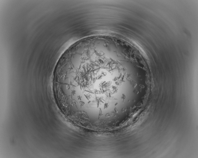 X0000111180899200907081233