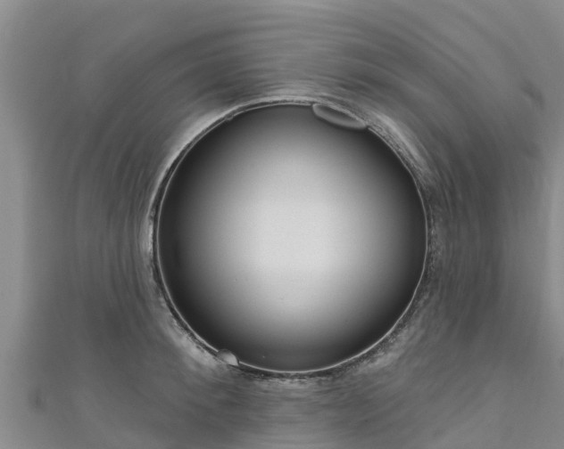 X0000111180900200907081233