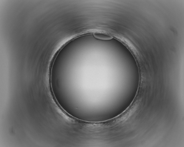 X0000111180902200907081233