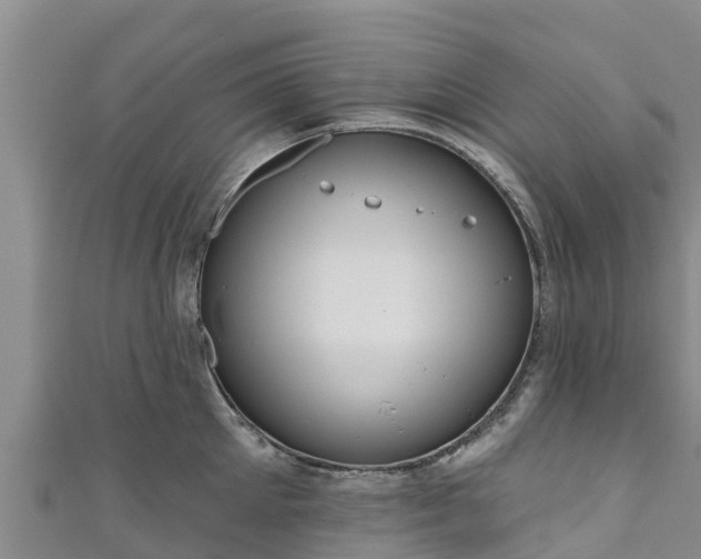 X0000111180905200907081233