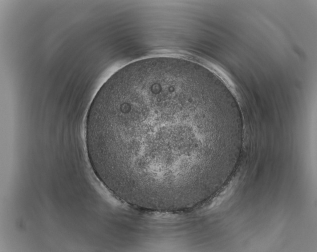 X0000111180907200907081233