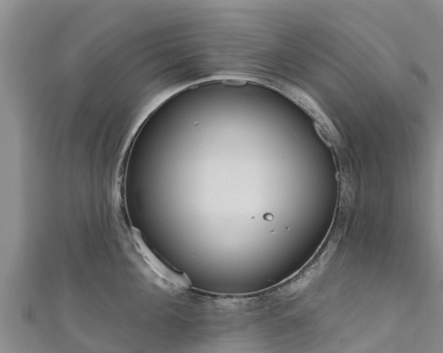 X0000111180908200907081233