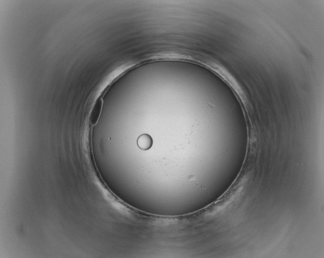 X0000111180909200907081233