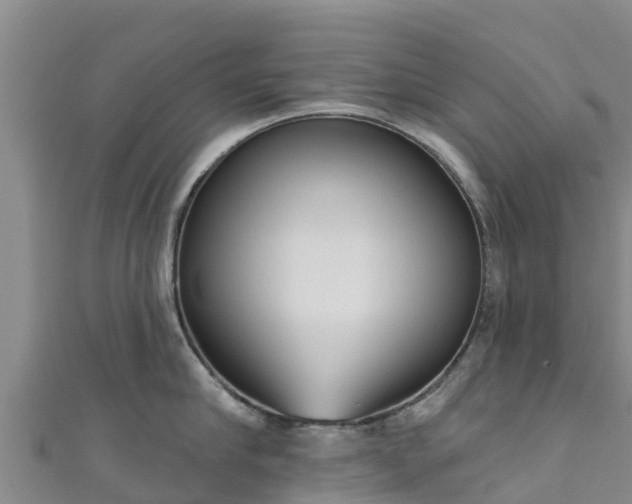 X0000111180910200907081233