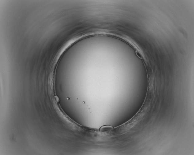 X0000111180911200907081233