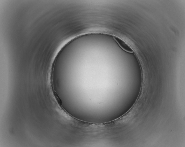 X0000111180912200907081233