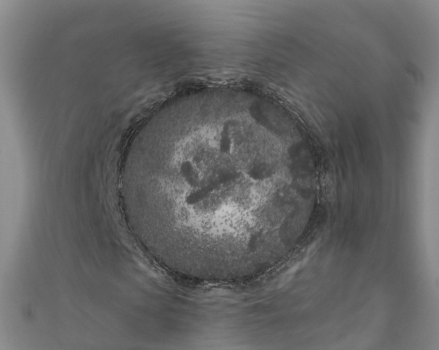 X0000111180913200907081232