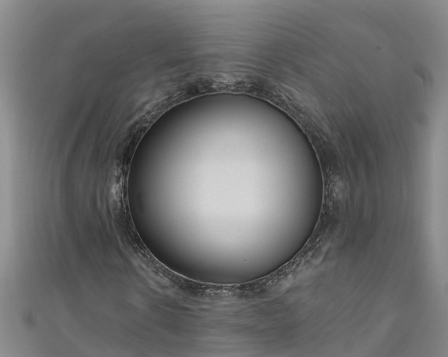 X0000111180914200907081232