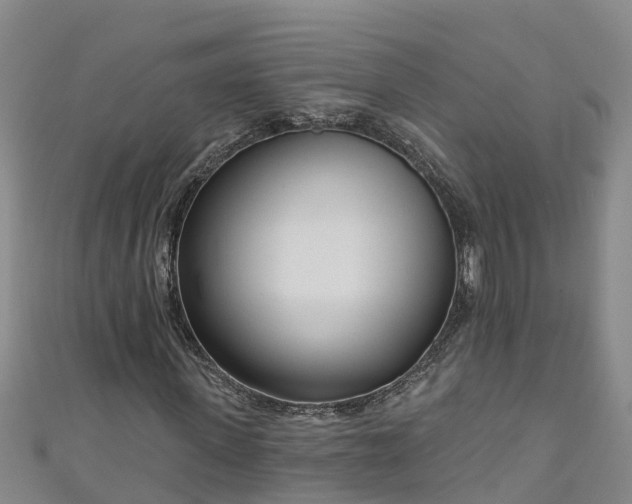 X0000111180915200907081232