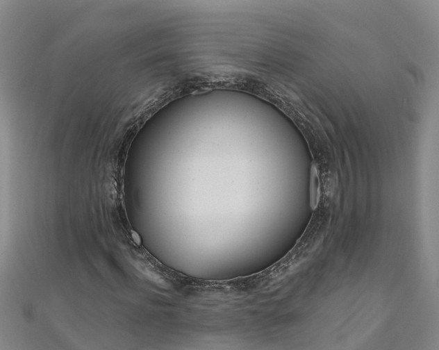 X0000111180916200907081232