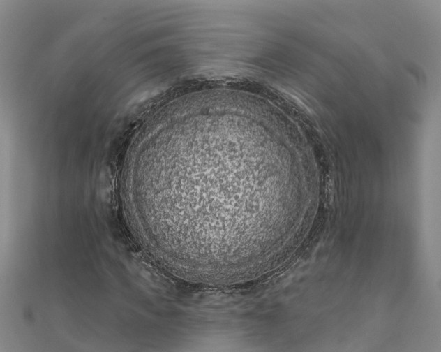 X0000111180917200907081232