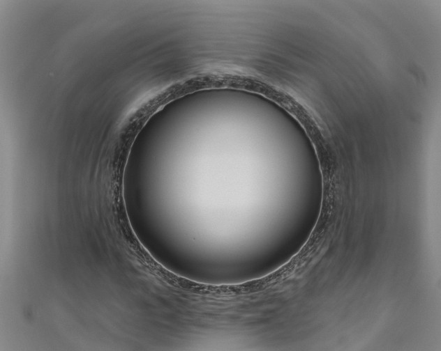 X0000111180919200907081232