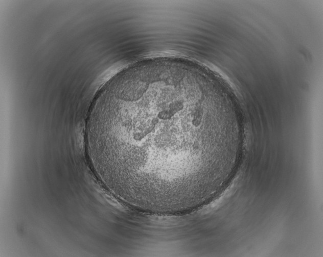 X0000111180921200907081232