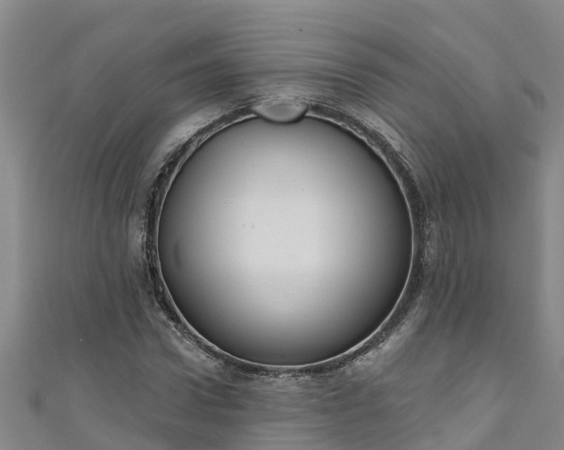 X0000111180922200907081232